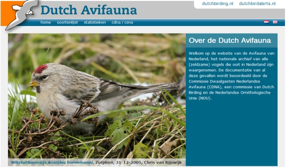 Dutch Avifauna