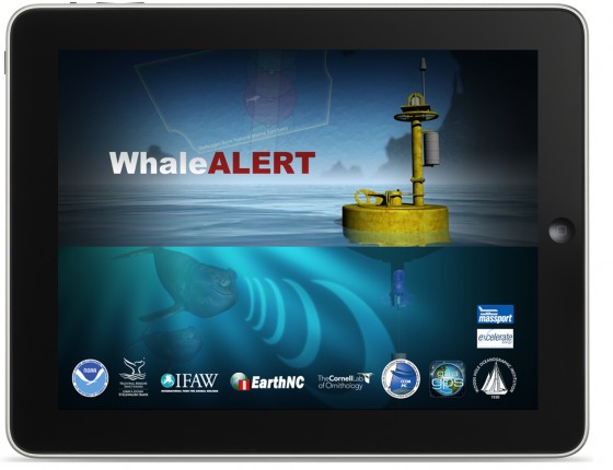 Whale Alert iPad