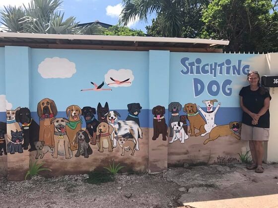 Lost in Paradise: The Dogs of Curaçao