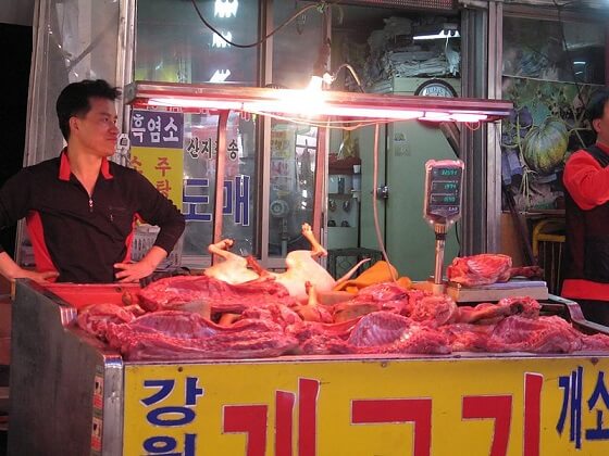 geen hondenvlees meer voor meeste Zuid-Koreanen