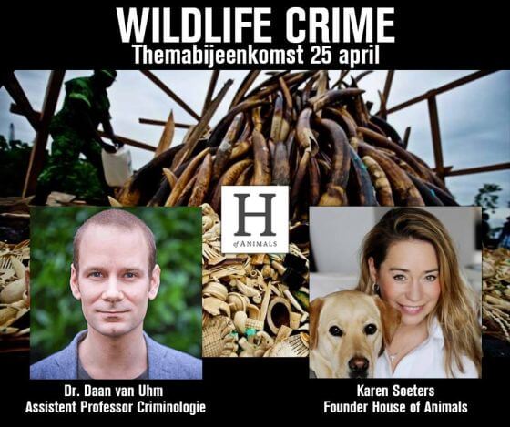 wildlife crime