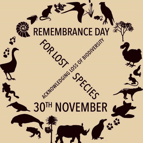 Remembrance Day for Lost Species