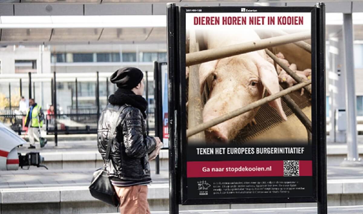 Grote meerderheid EP stemt voor verbod op kooien in veehouderij