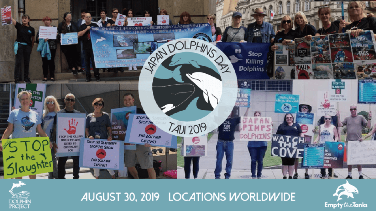Japan Dolphins Day 2019