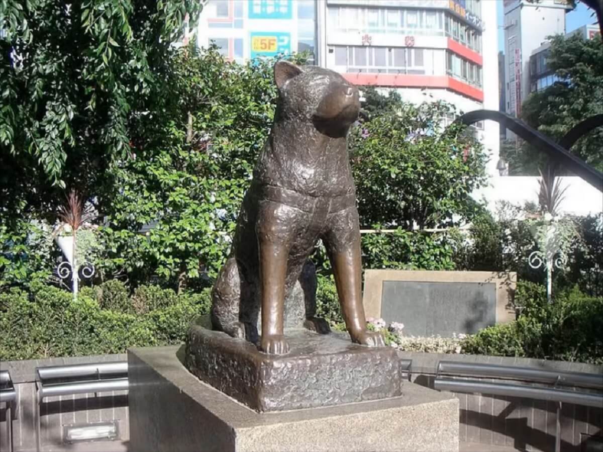 standbeeld voor een hond