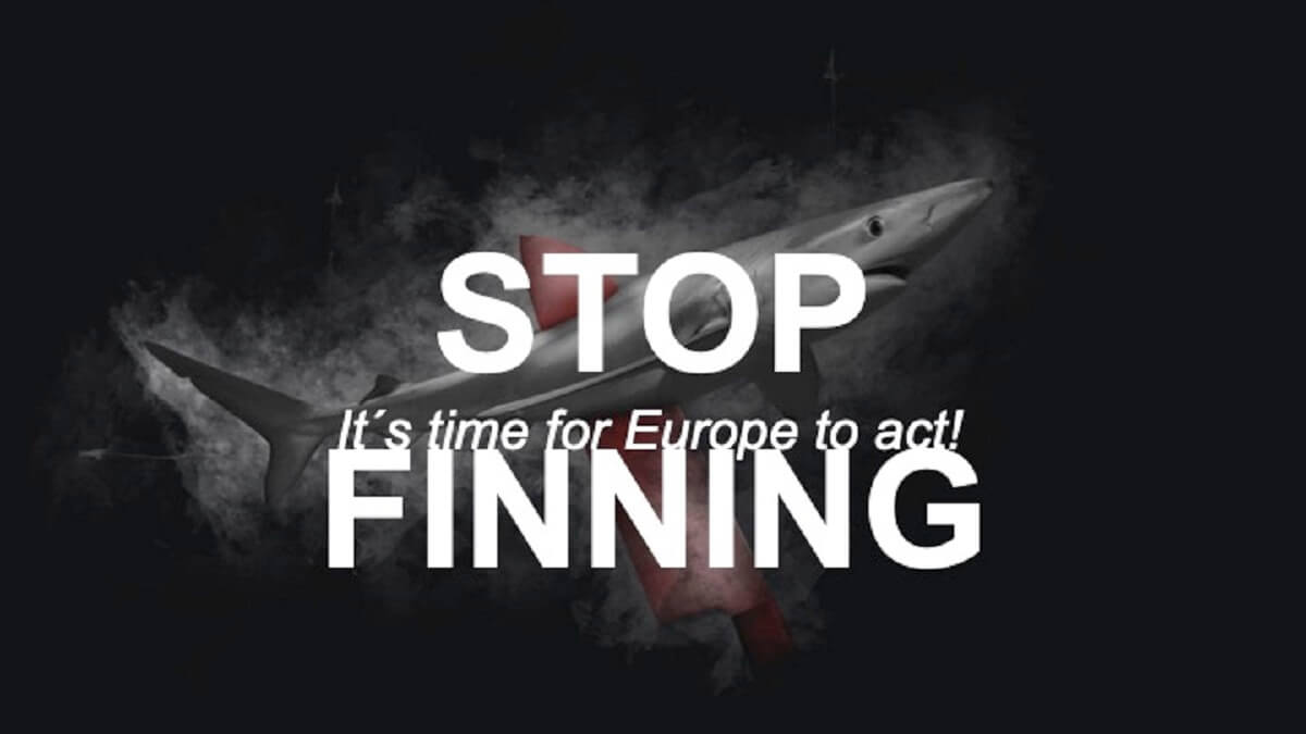 Stop Finning - Stop de handel in haaienvinnen