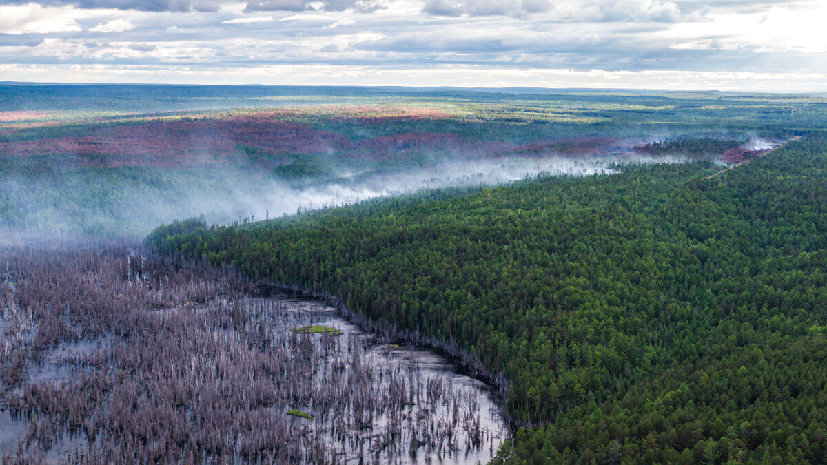 Bosbranden Siberië (regio Krasnojarsk) door klimaatverandering - juli 2020 | Foto: ©Julia Petrenko/Greenpeace