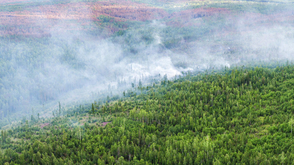 Bosbranden Siberië (regio Krasnojarsk) door klimaatverandering - juli 2020 | Foto: ©Julia Petrenko/Greenpeace