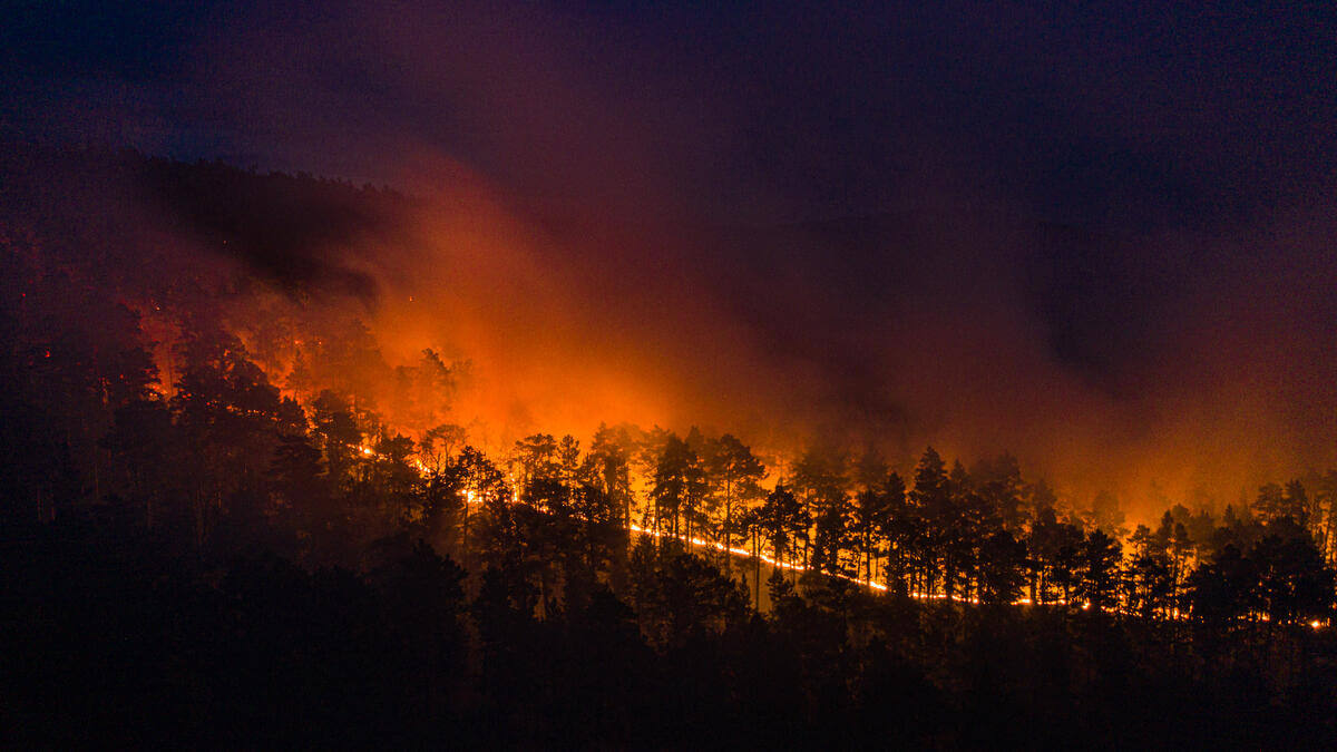 bosbranden klimaatcrisis Siberië