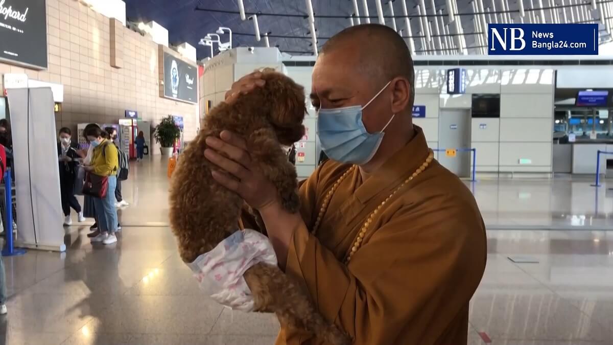 Chinese monnik redt straathonden in Shanghai