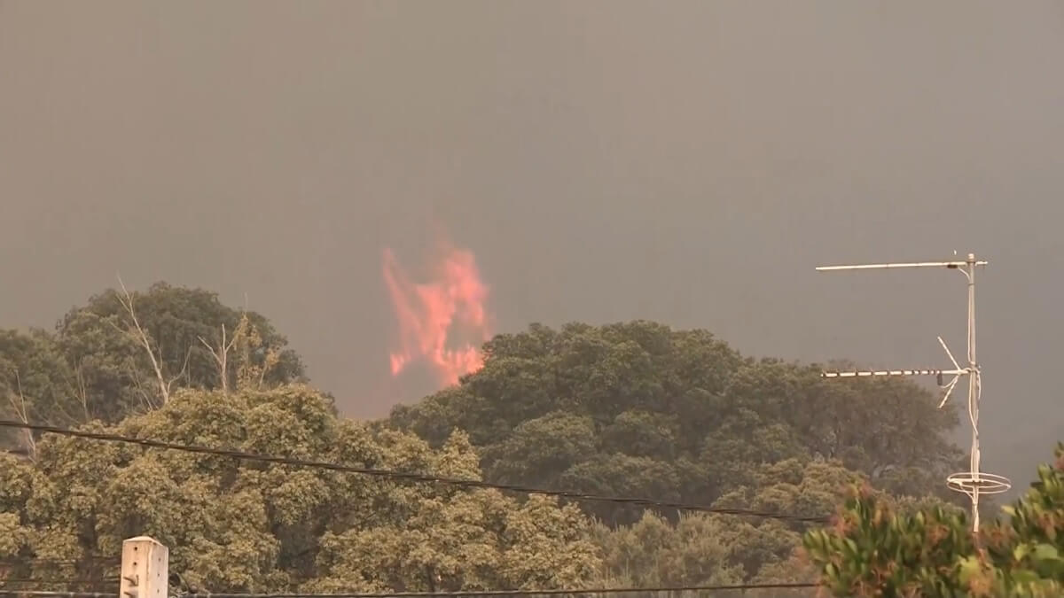 Zwijn in vlammen steekt hectaren Spaans bos in brand