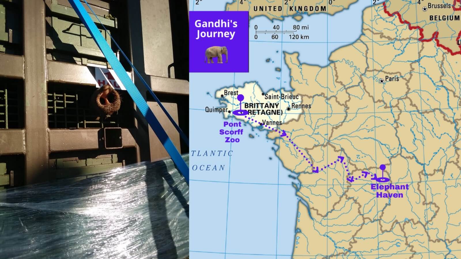 Gandhi (52) eerste bewoonster olifantenopvang Elephant Haven