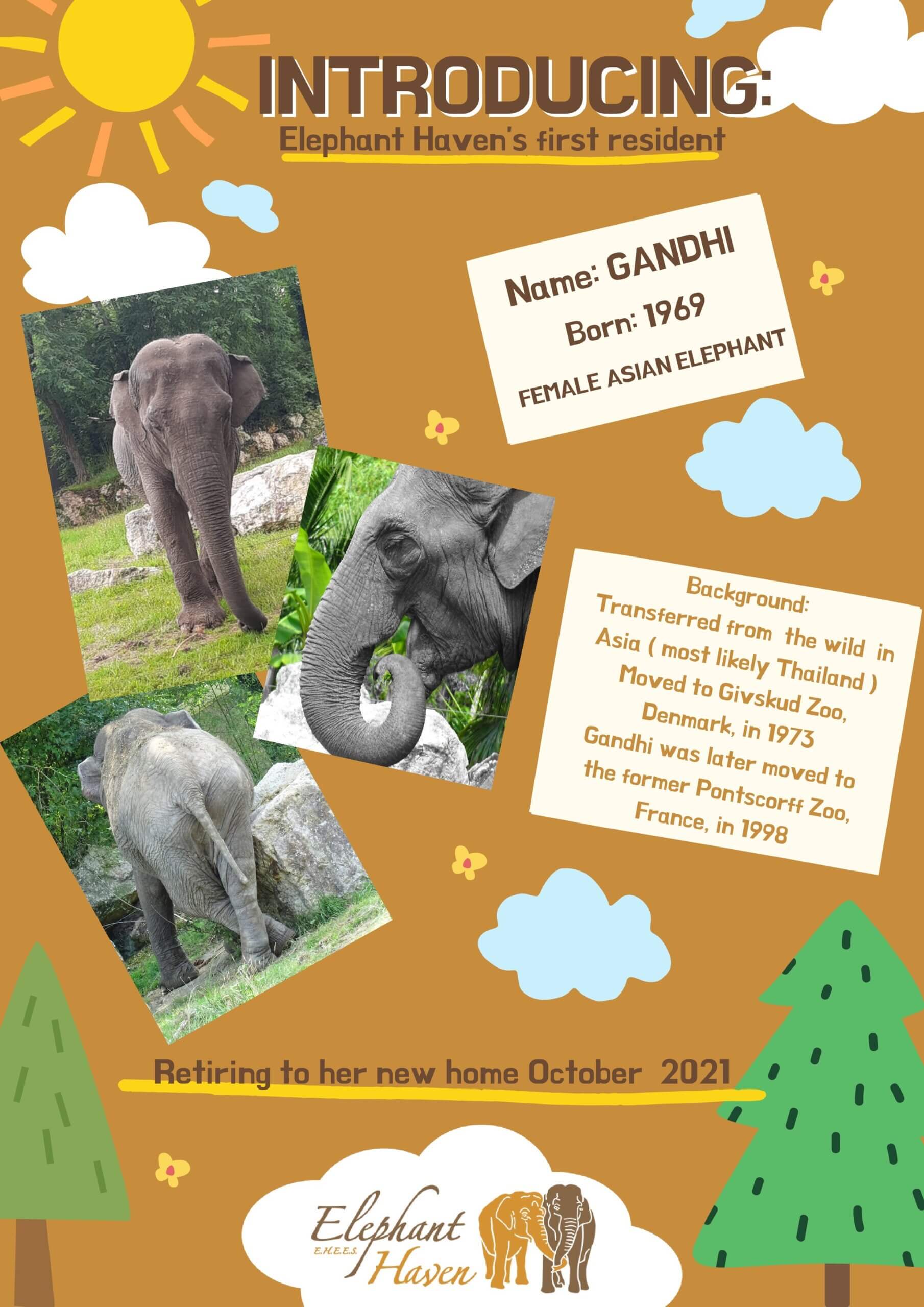 Gandhi (52) eerste bewoonster olifantenopvang Elephant Haven