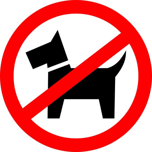 Huisdieren mogelijk binnenkort verboden in Iran