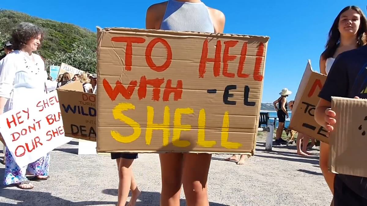 Seismisch onderzoek Shell langs kust Zuid-Afrika bedreigt alle zeeleven