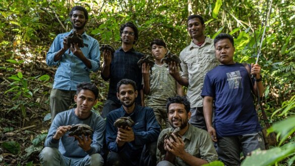 Aziatische reuzenschildpad terug in heuvels Bangladesh