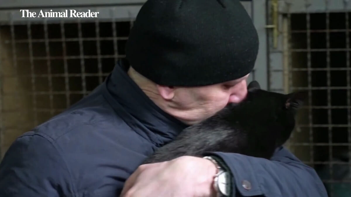 PETA Duitsland redt in week ruim 400 dieren uit Oekraïne