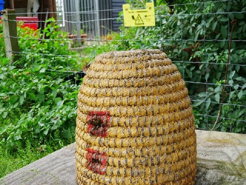 Bijen Floriade dood door onnatuurlijke bijenkast