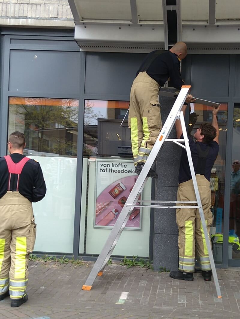 Twaalf babyeenden van winkeldak gered in Almere