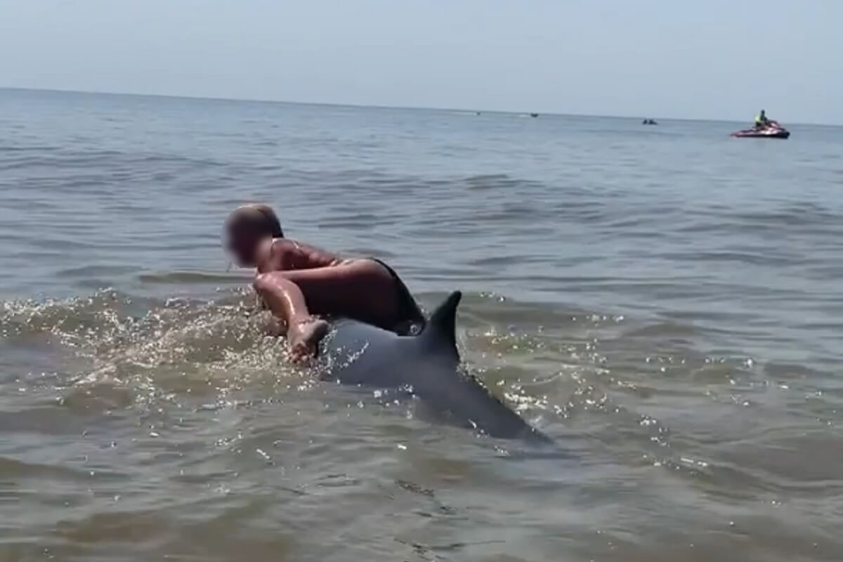 Dolfijnenklimster aangehouden en weer vrij
