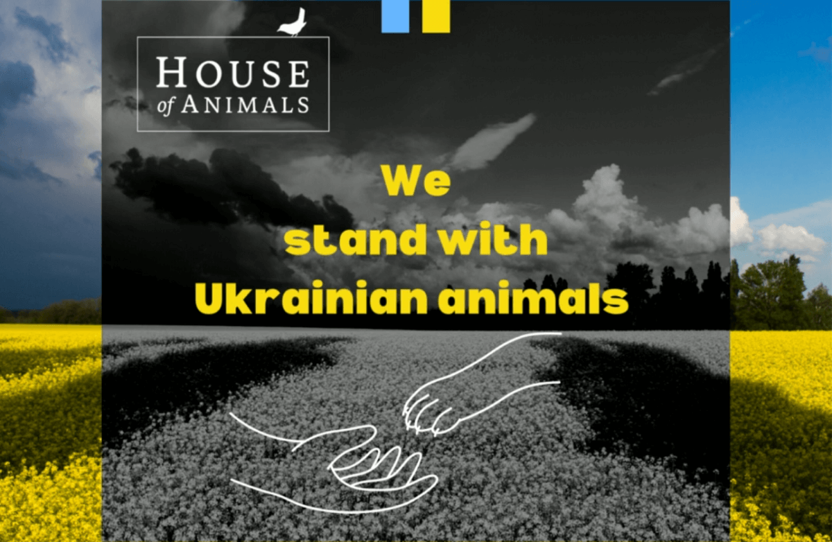 We stand with Ukrainian animals
