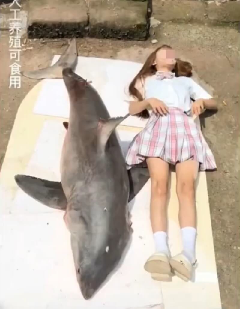 Politie onderzoekt Chinese influencer na eten grote witte haai