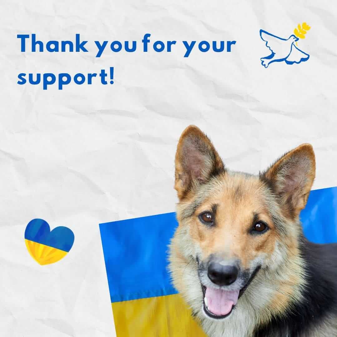 We stand with Ukrainian animals