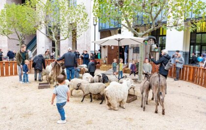 Illegale kinderboerderij van Bert's Animal Verhuur op Kids Weekend Heerlen