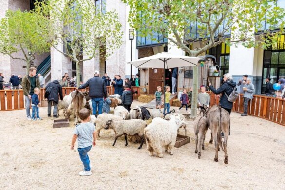 Illegale kinderboerderij van Bert's Animal Verhuur op Kids Weekend Heerlen