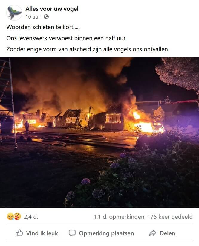 Vogels en vissen dood bij brand dierenspeciaalzaken Nieuw-Vennep