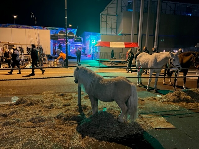Paardenmarkt in Hedel 2022