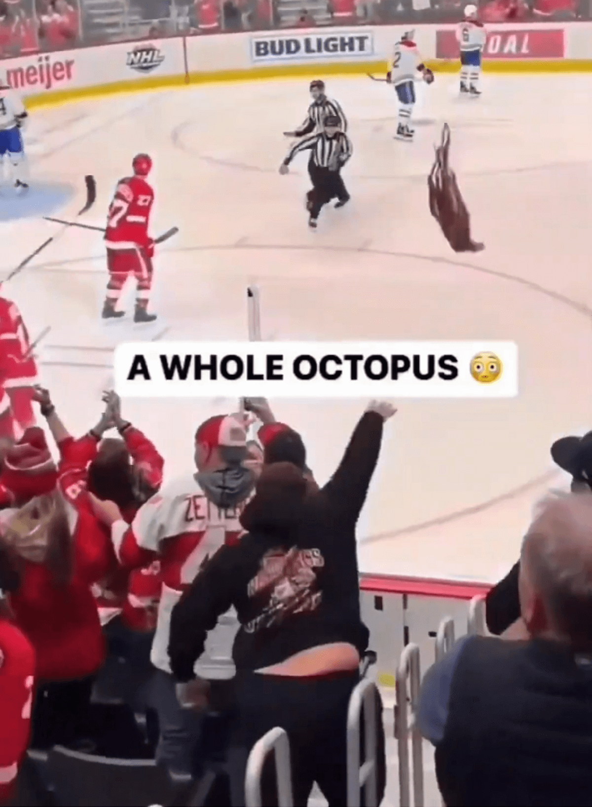 Stop het gooien met dieren tijdens ijshockeywedstrijden in de VS
