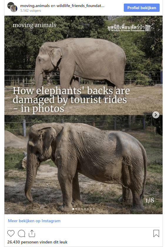 Toeristenritjes olifant