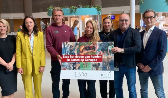12.360 steunbetuigingen tegen doden zwerfdieren op Curaçao