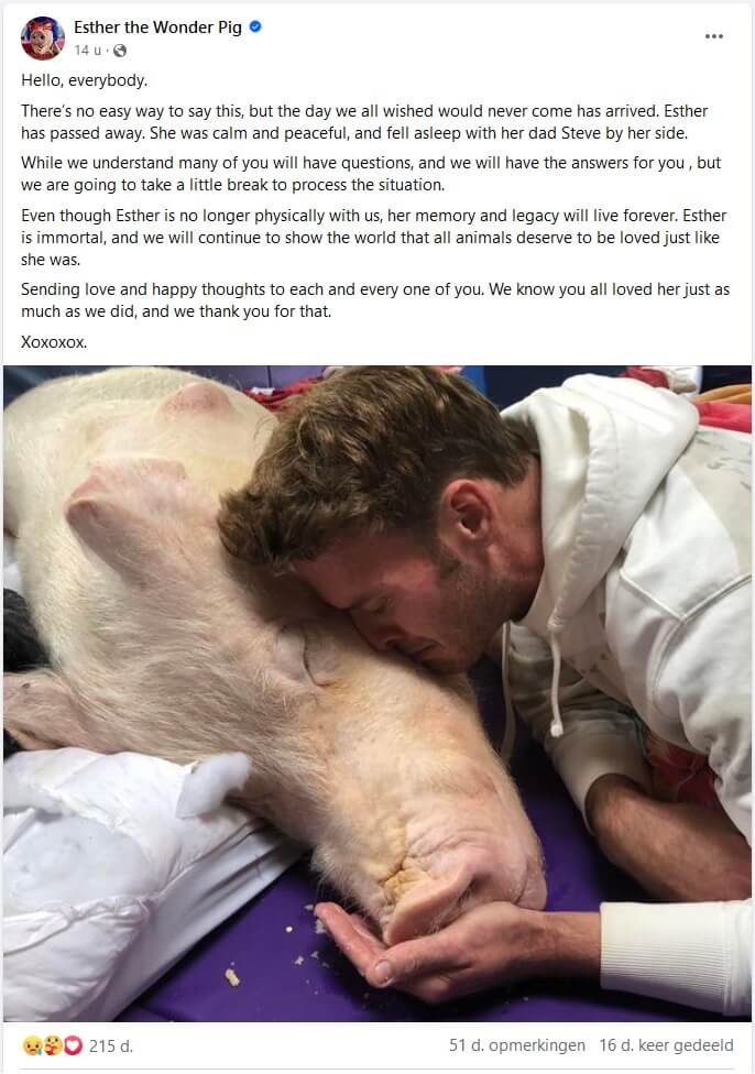 Esther The Wonder Pig is overleden
