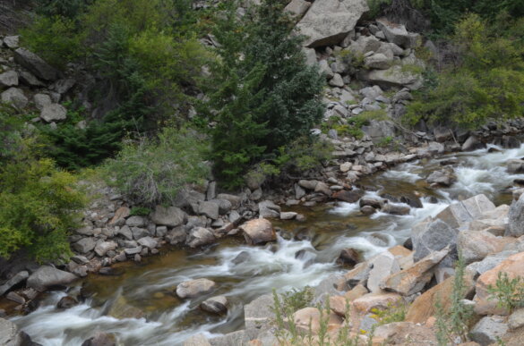 Stad in Colorado geeft als eerste in VS rechten aan natuur