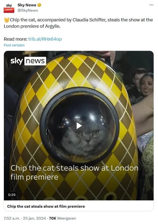 Bezorgdheid om Scottish fold-kat door blockbuster Argylle