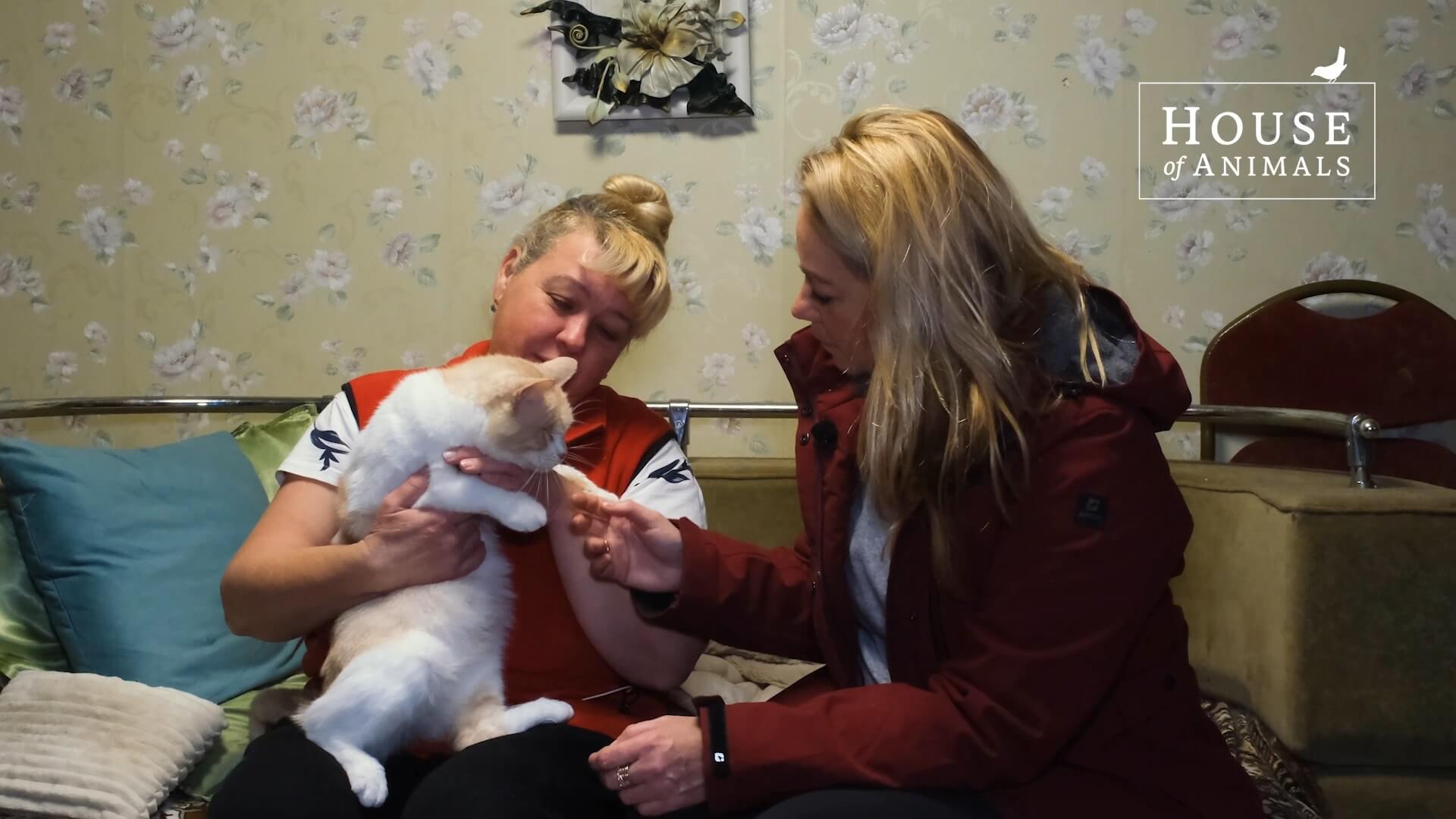 Adopteer een dier in Oekraïne Gewonde dieren zijn veilig bij Myav-Gav