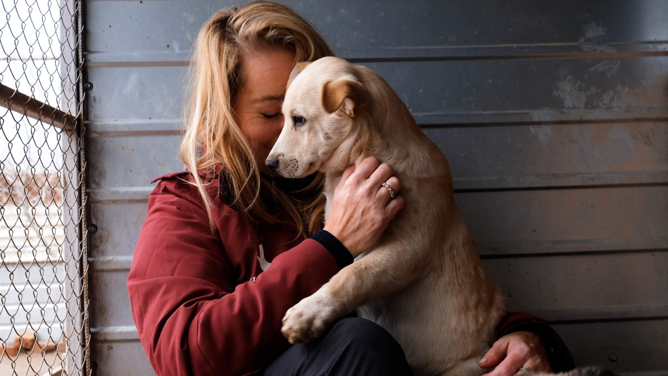 Adopteer een dier in Oekraïne Elke hond een verhaal bij The City of Dogs