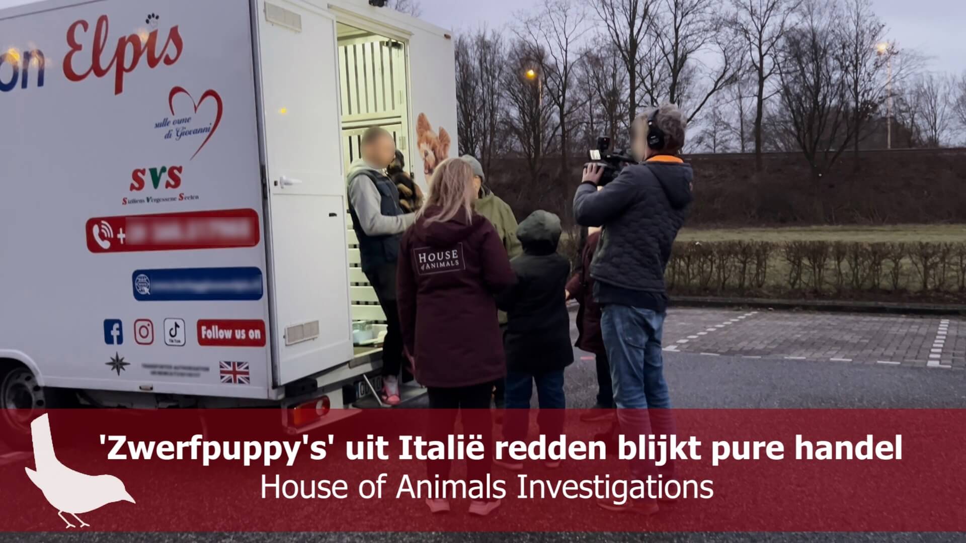 ‘Zwerfpuppy’s’ uit Italië redden blijkt pure handel | Beeld: ©House of Animals