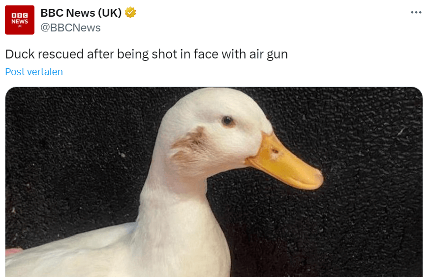 beschoten eend