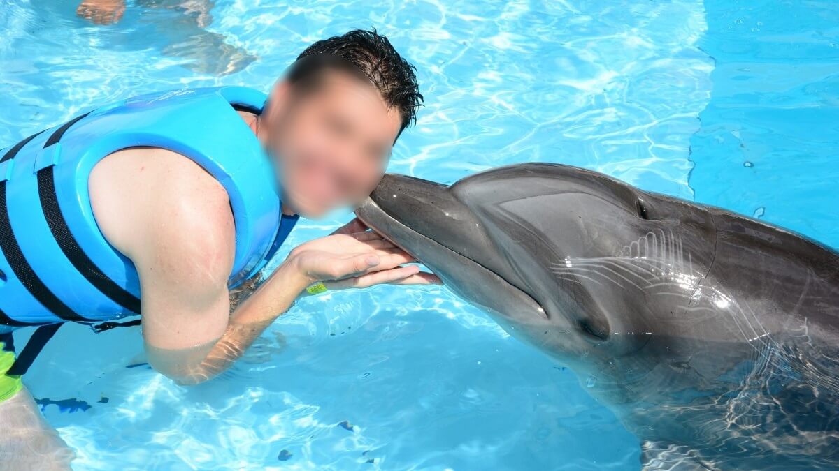 Nog steeds fotomomenten met dolfijnen