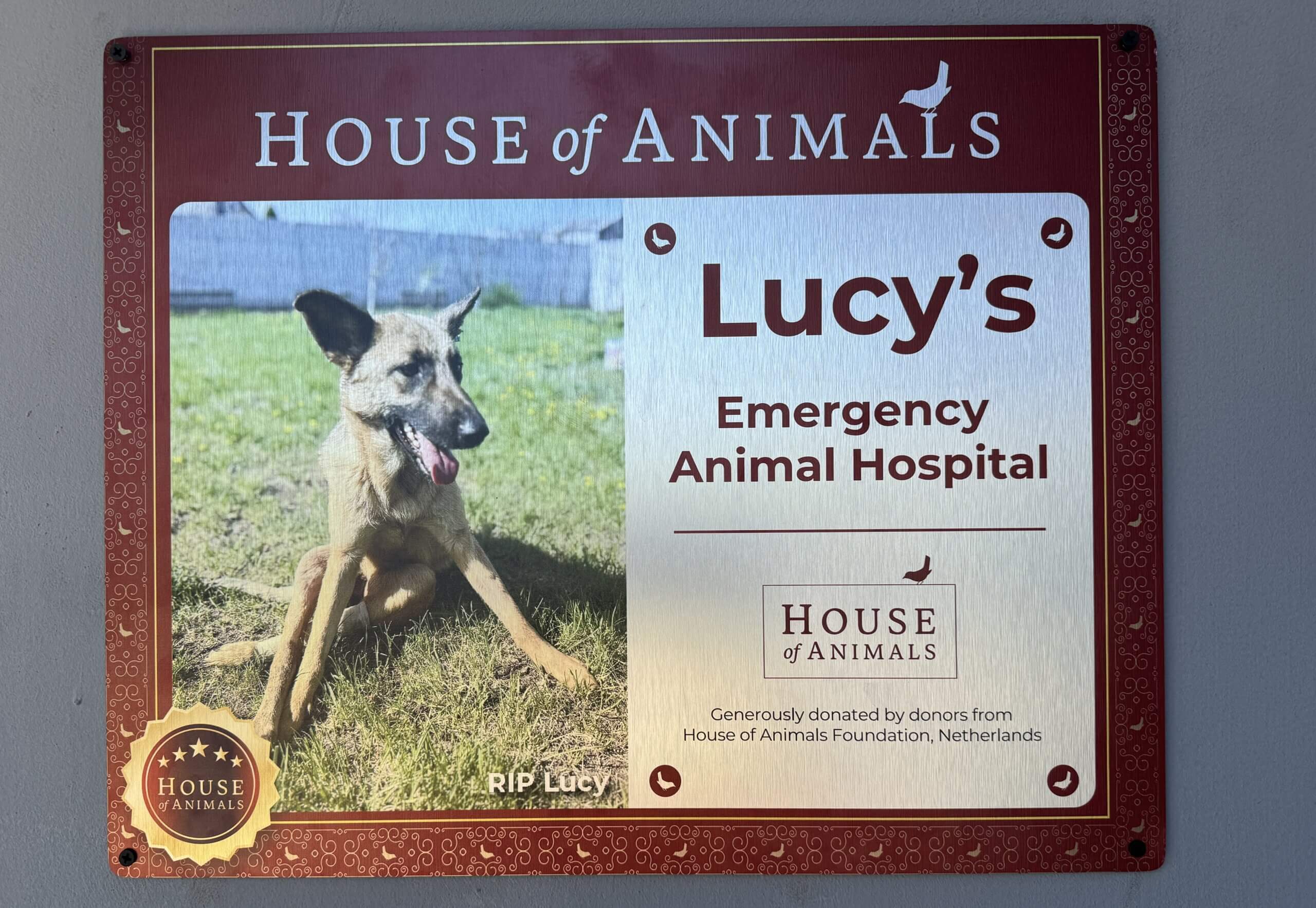 Lucy's Emergency Animal Hospital Baken van hoop in oorlogstijd