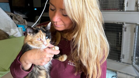 Karen’s reisblog slot Psychiater Tanya zorgt nu voor dieren in Dnipro