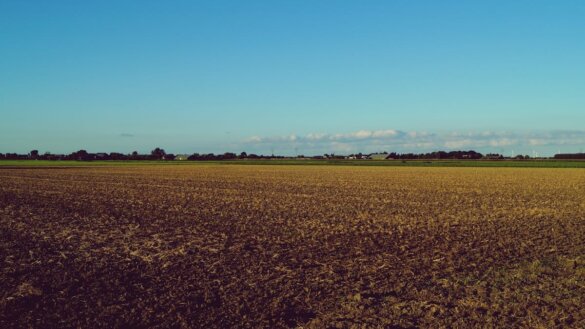 Groen toekomstplan Denemarken vergeet duurzame landbouw