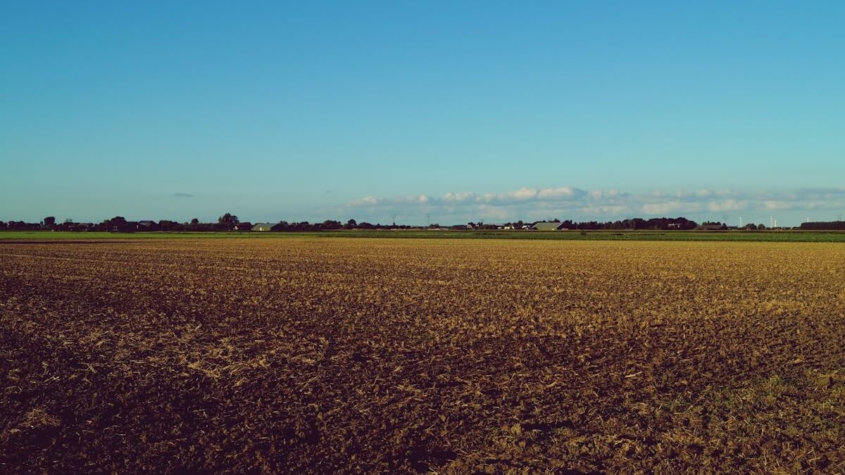 Groen toekomstplan Denemarken vergeet duurzame landbouw