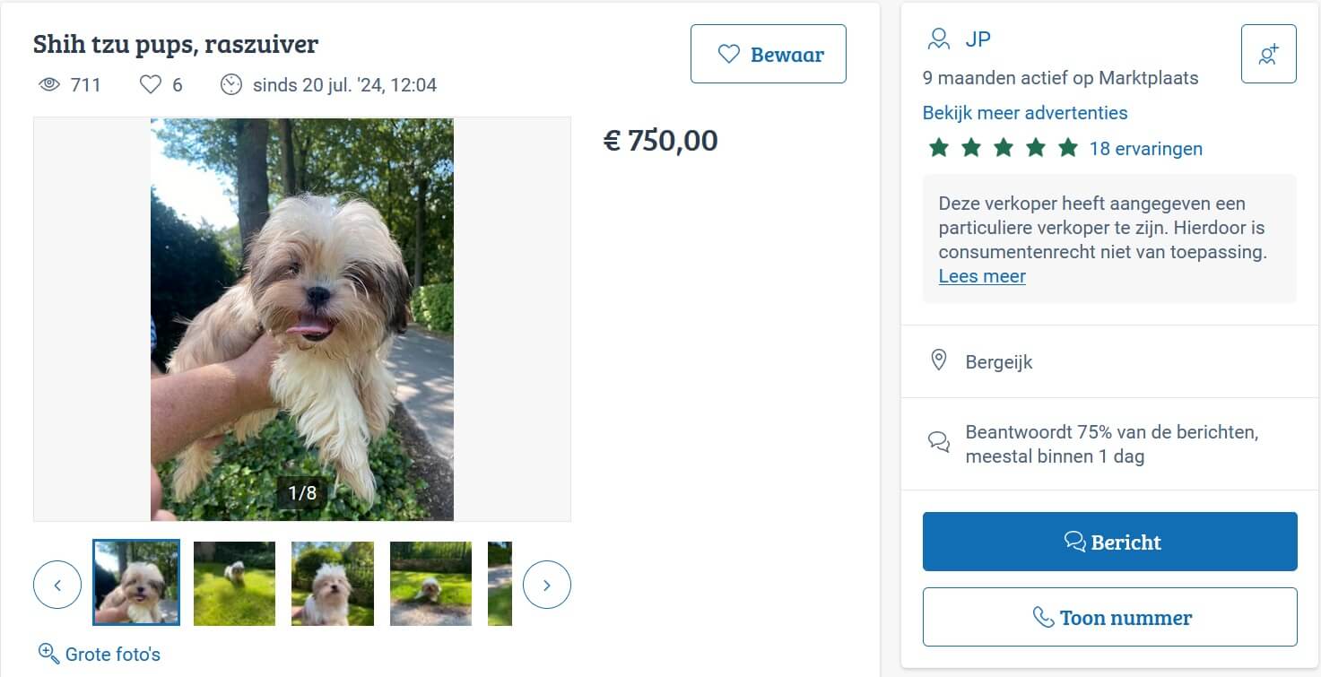Horrorfokker uit Eersel zet puppyhandel voort in België