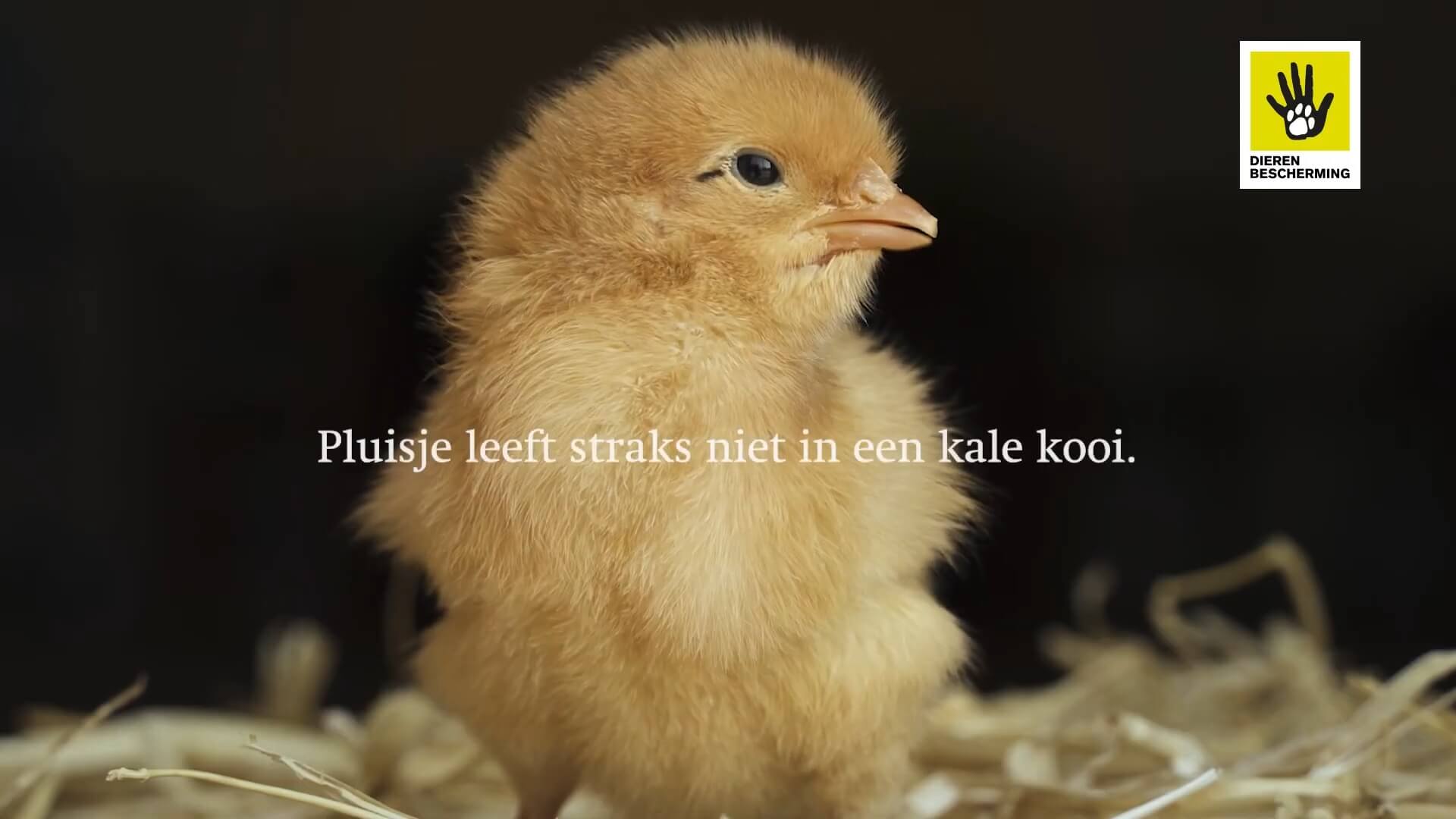 Klacht ingediend bij RCC Reclameboodschap Dierenbescherming misleidend