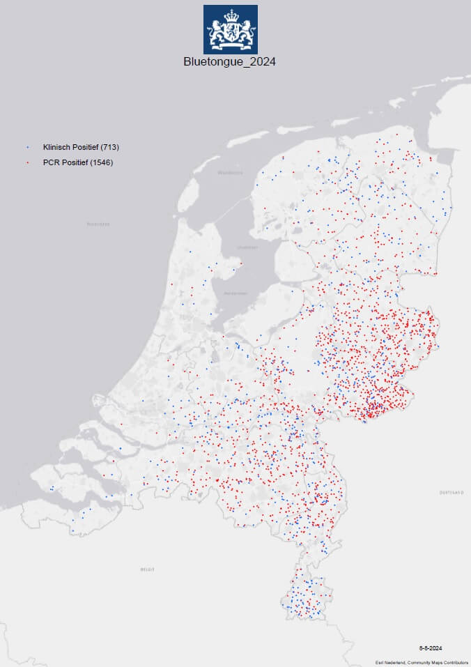 Blauwtong explodeert ruim 2200 mogelijke gevallen