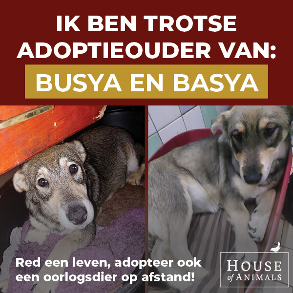 BN'ers adopteren Oekraïense oorlogsdieren op Werelddierendag